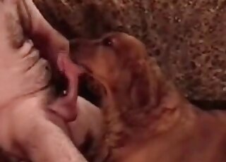 Perverted zoophile makes his dog lick his dick in a hot zoo porn vid