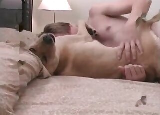Horny guy fucks his dog and makes the beast enjoy the whole process