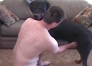 Guy jerks off to his rottweiler dog and gets his cock deep in anal