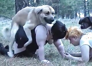 Two fat-assed mature whores enjoy sex with their dogs in the park
