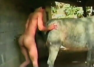 Dude enjoys fucking a horse and getting orgasms in a zoo porn vid
