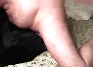 Fat zoophile guy fucks his dog on the bed in a hot zoo porn session