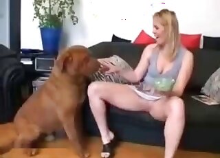 Relaxed housewife spreads legs to get pussy eaten by her pet dog