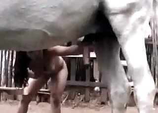Naked brunette chick gladly takes horse's massive schlong in her mouth