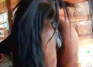 Brutal dude fists a horse in a rough way in order to achieve orgasm