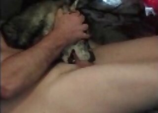 Naked pervert calls up his dog to take his throbbing cock in mouth
