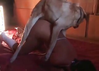 Curvy woman kisses her dog like a lover and enjoys doggystyle fuck