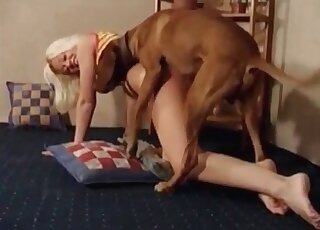 Mature slut teaches her massive dog how to deal with her needy cunt