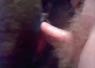 Animal sex lover finger fucks pussy of a horse and bangs it rough