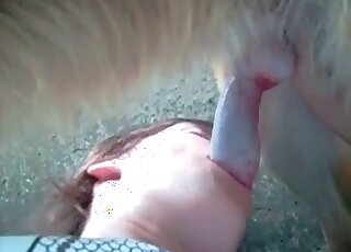 Cum-thirsty wife cannot stop enjoying her animal’s cock in mouth
