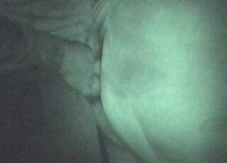 Bestiality sex addicted dude comes to fuck a horse and does it well