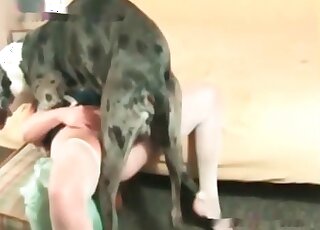 Chubby mature spreads legs to let her massive dog bonk her snatch