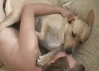 Wicked guy uses his dog and fucks it as hard as he only can