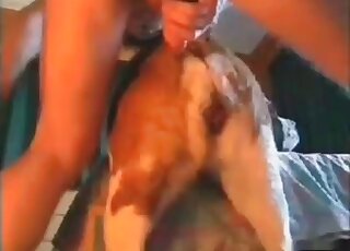 Dude bangs his submissive dog hard having no other choice for sex