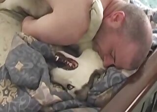 Male bestiality scene in which a dominant dude maims a dog's pussy