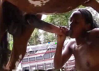 Brunette strokes a horse's cock to enjoy a zoophilia cumshot too