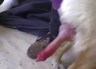Баба Дрочит Кобелю