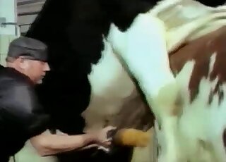 Dominant farmer in dark clothes gives a nice handjob to a horse