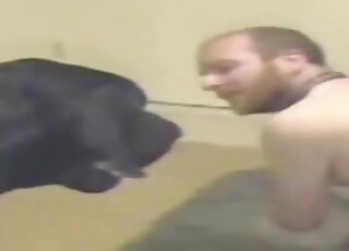 Zoophile guy with sexy balls fucks black dog anally back at home
