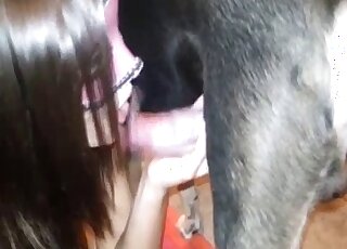 Long-haired zoophile lady gives black dog a sloppy blowjob here
